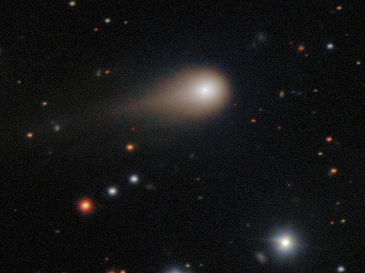 Кто такой профессор Гарварда Ави Леб, который считает, что к Земле движется корабль пришельцев