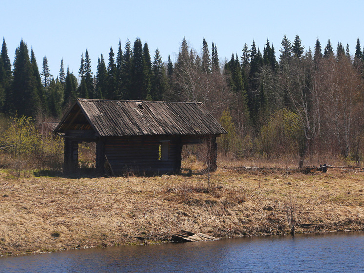 Росреестр усилит контроль за дачными участками с помощью дронов и спутников