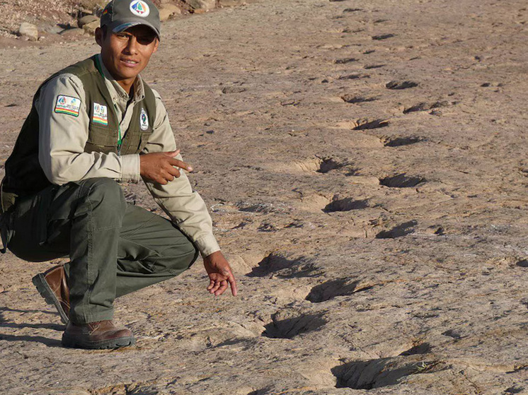 Уникальные условия древнего озера в парке Тороторо сохранили следы динозавров