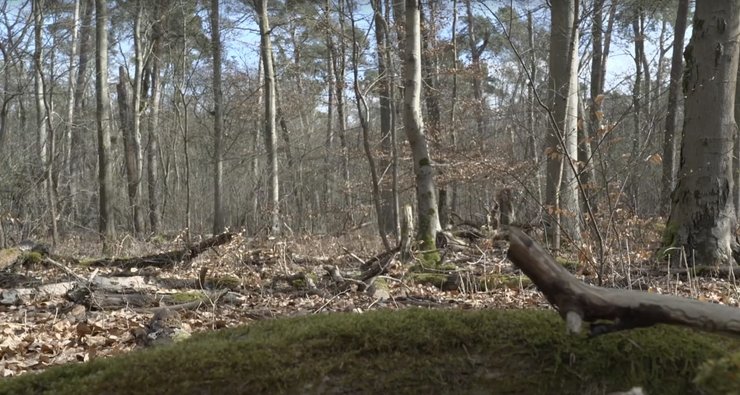 Место, где нашли тело 19-летней украинки